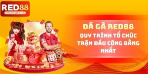 Đá Gà RED88