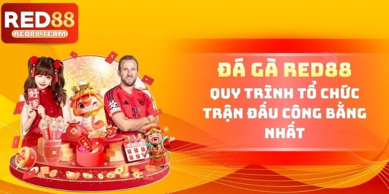 Đá Gà RED88